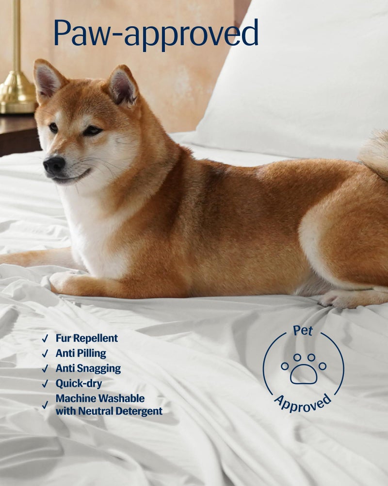 REST Evercool+ Cooling Sheet Set, Queen Size, Arctic White, Breathable Bed Sheets for Hot Sleeper and Night Sweats, with Pillowcases, with Ionic+ Self-Cleaning Silver Yarn for Sensitive Skin, 4PCS - Image 4